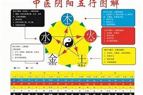 姿五行|姿字的五行属性